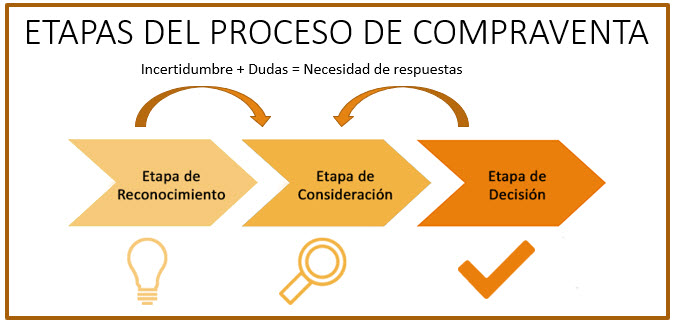 etapas del ciclo de vida