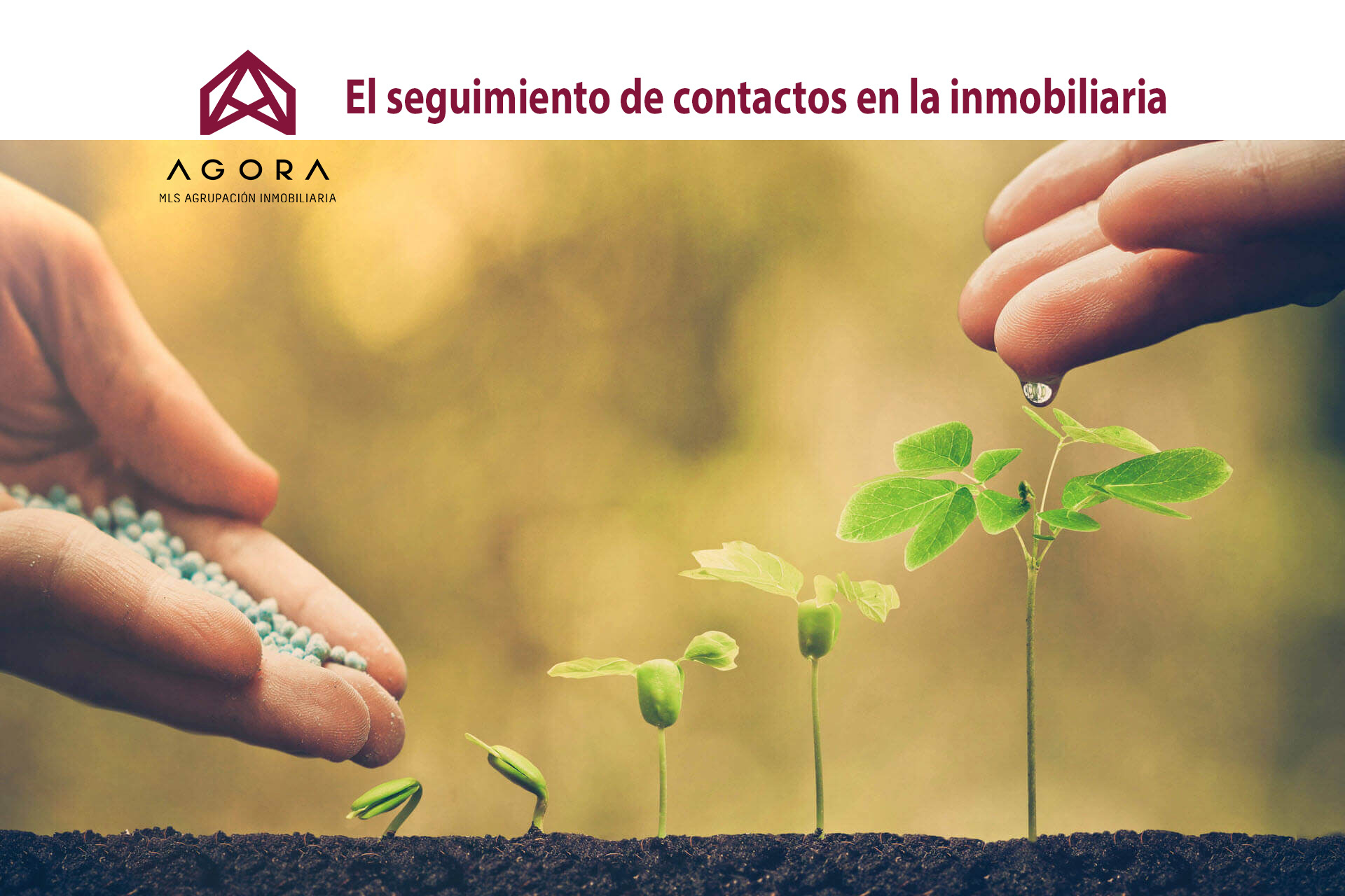 seguimiento-contactos-inmobiliaria